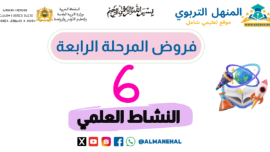 فروض المرحلة الرابعة المستوى السادس النشاط العلمي